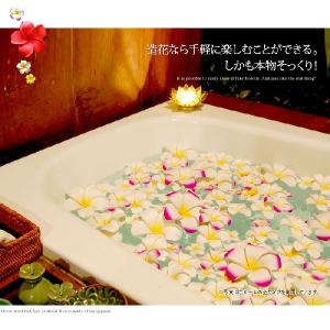 アジアン雑貨 プルメリア 造花 インテリアフラ...の詳細画像2