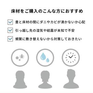 防ダニシート 6畳 日本製 江戸間 団地間 畳...の詳細画像1
