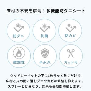 防ダニシート 6畳 日本製 江戸間 団地間 畳...の詳細画像2