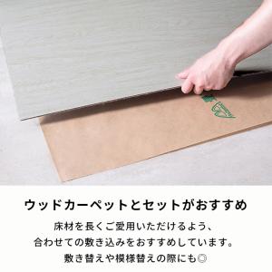 防ダニシート 6畳 日本製 江戸間 団地間 畳...の詳細画像3