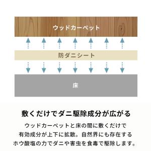 防ダニシート 6畳 日本製 江戸間 団地間 畳...の詳細画像4