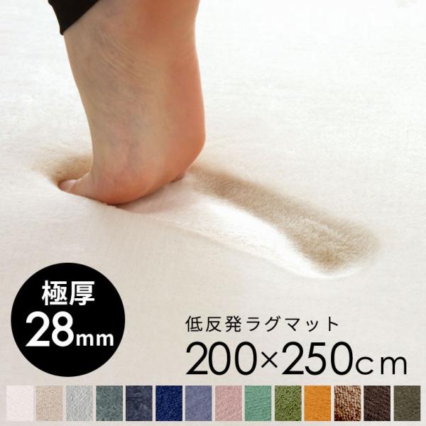 ラグ カーペット 低反発 200×250cm ラグマット リビング マイクロファイバー じゅうたん ...