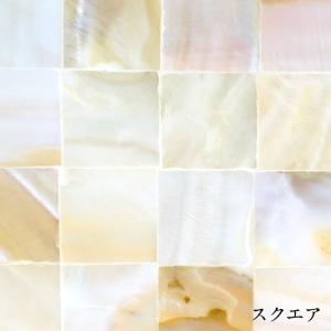 コースター シェル 貝殻 アジアン おしゃれ ...の詳細画像3