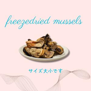 フリーズドライミドリイガイ ふりかけタイプ 関...の詳細画像2