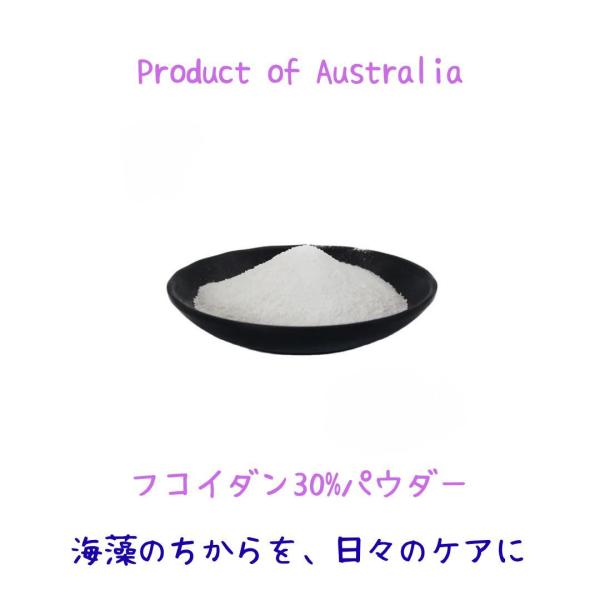 ペット用 フコイダンパウダー 80メッシュ 海藻由来 シンプル原料 定形外送料無料