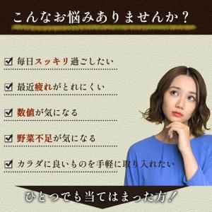 まいたけ 粉末 100g 国産 新潟県産 舞茸...の詳細画像3