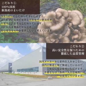 まいたけ 粉末 100g 国産 新潟県産 舞茸...の詳細画像5