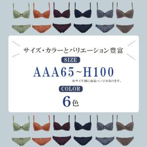 ブラジャー ショーツセット C・Dカップ スカ...の詳細画像1