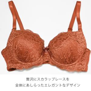 ブラジャー ショーツセット C・Dカップ スカ...の詳細画像4