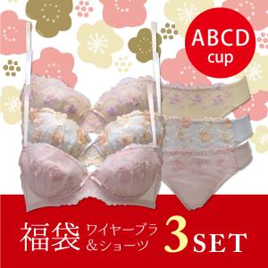＼福袋2022／ワイヤーブラジャー＆ショーツ　3セット