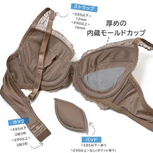 ファシネイト (E・Fカップ) ブラジャー &...の詳細画像1