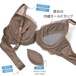 ファシネイト (G・Hカップ) ブラジャー &...の詳細画像1
