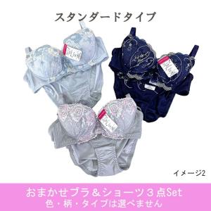 福袋 ワイヤーブラ & ショーツ おまかせ3点...の詳細画像1