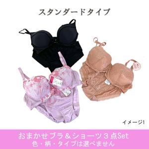 福袋 ワイヤーブラ & ショーツ おまかせ3点...の詳細画像2