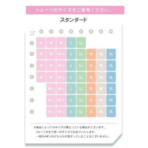 福袋 ワイヤーブラ & ショーツ おまかせ3点...の詳細画像3