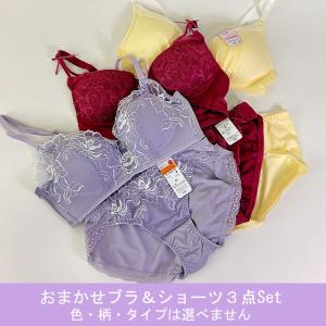 福袋 ノンワイヤーブラ & ショーツ おまかせ...の詳細画像1
