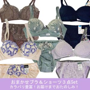 福袋 ノンワイヤーブラ & ショーツ おまかせ...の詳細画像2