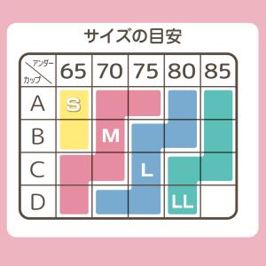 福袋 ノンワイヤーブラ & ショーツ おまかせ...の詳細画像3