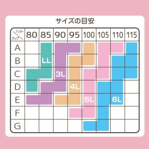 福袋 ノンワイヤーブラ & ショーツ おまかせ...の詳細画像4
