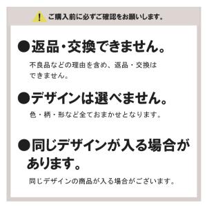 福袋 ノンワイヤーブラ & ショーツ おまかせ...の詳細画像5