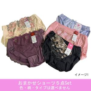 福袋 ノーマルショーツ おまかせ5点セット 送...の詳細画像1