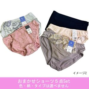 福袋 ノーマルショーツ おまかせ5点セット 送...の詳細画像2