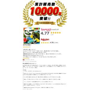 期間限定 今だけプライス イフミー 新幹線 コ...の詳細画像1