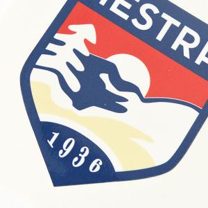 ゆうパケット対応可能! ステッカー HESTR...の詳細画像3