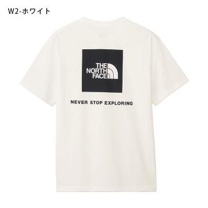 2026春夏新色 【動画あり】ネコポス発送!ノ...の詳細画像2