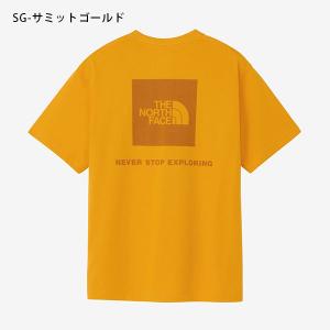 2026春夏新色 【動画あり】ネコポス発送!ノ...の詳細画像3