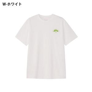 ネコポス発送! 2026春夏新作 ノースフェイ...の詳細画像2