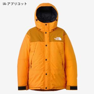 ノースフェイス 高品質 GORE-TEX マウ...の詳細画像2