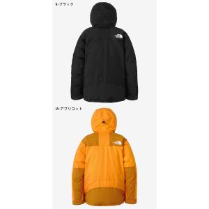 ノースフェイス 高品質 GORE-TEX マウ...の詳細画像3