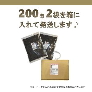 ブラジル ブルボンアマレロ 中深煎り 400gの詳細画像5