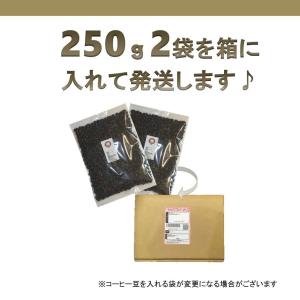 デカフェ モカ マイルドタイプ500g マウン...の詳細画像4