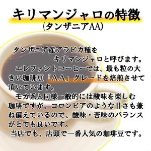 キリマンジャロ (タンザニアAA) 400g ...の詳細画像1