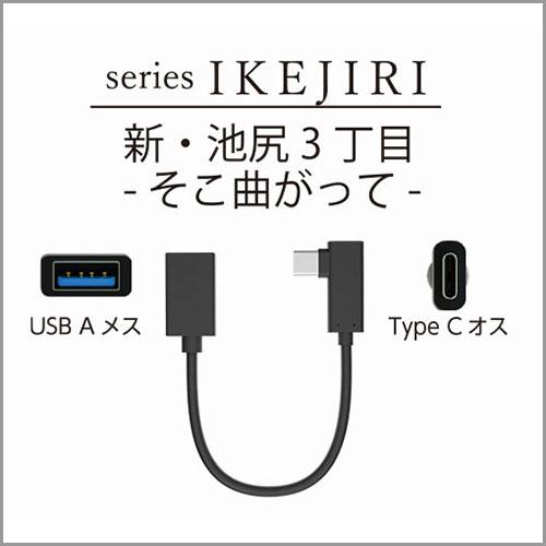AREA (エアリア) 新・池尻３丁目 -そこ曲がって- TypeCホストケーブル AR-CHOS1...
