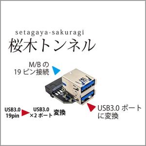 AREA (エアリア) 桜木トンネル USBピンからポートに変換 AR-UP19UA｜eleuthera