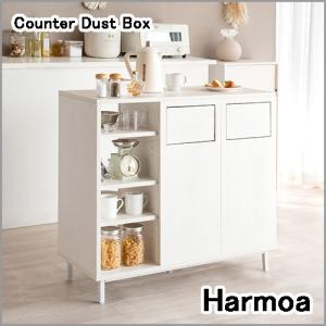 Harmoa (ハルモア) カウンターダストボックス 45L×2 ホワイト DB-9040-WH｜eleuthera