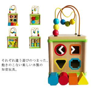 型はめパズル 知育玩具 木のおもちゃ 指先レッスンボックス 1歳 室内