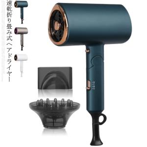 フカイ工業 ACトルネードターボ イオンドライヤー FPW-3002 送料無料