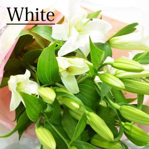 カラーが選べる オリエンタルユリの花束 5本 ...の詳細画像1