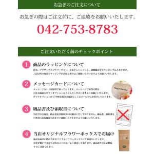 店長おまかせ お供え アレンジメント 花 仏花...の詳細画像3