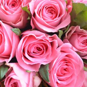 4色から選べる バラの花束 1本販売(15本以...の詳細画像1