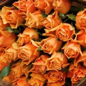 4色から選べる バラの花束 1本販売(15本以...の詳細画像4