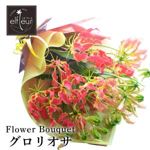 グロリオサ 花束 生花 フラワーギフト プレゼント  誕生日 贈り物｜elfleur