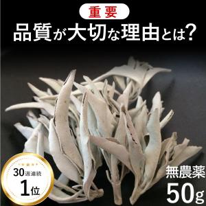 【39週連続1位】浄化用 ホワイトセージ 無農薬 茎付き 50g (茎+リーフ) 最高品 質 浄化用 ほわいとせーじ オーガニック セージ 直輸入