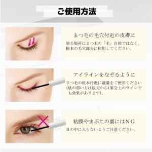 Newモデル ラッシュアディクト 正規品 まつ...の詳細画像3