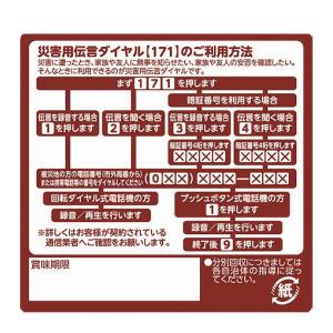 非常食 えいようかん 井村屋 5本×5箱 備蓄...の詳細画像4