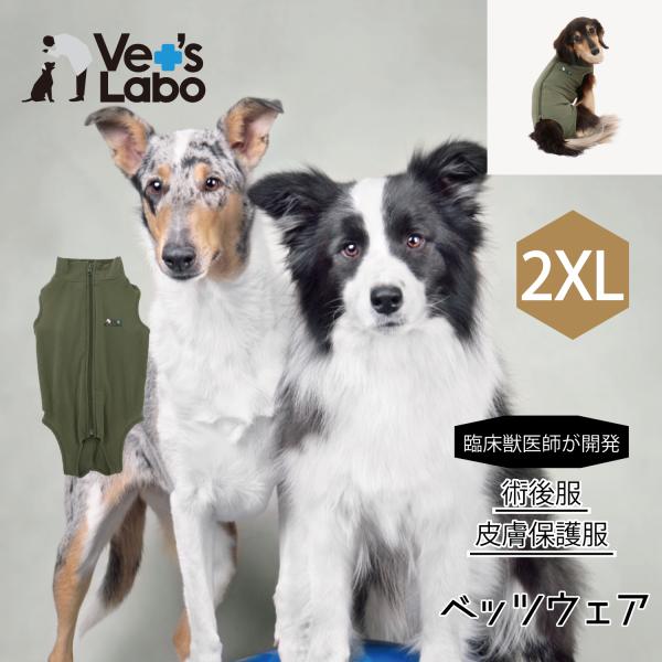 術後服 保護服 犬用 ウェア ベッツウェア 男の子用 カーキ 2XL